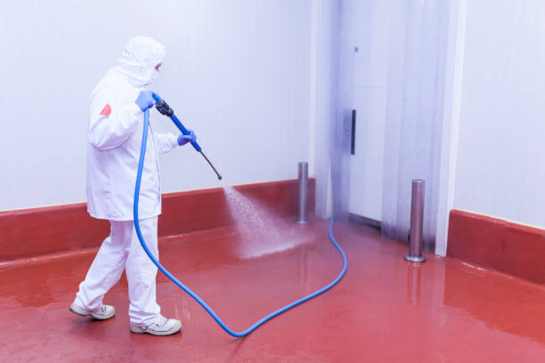 Best Dumpster Area Cleaning  in Springfield, MO