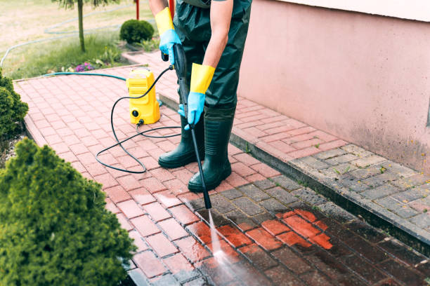 Animal Enclosure Cleaning in Springfield, MO